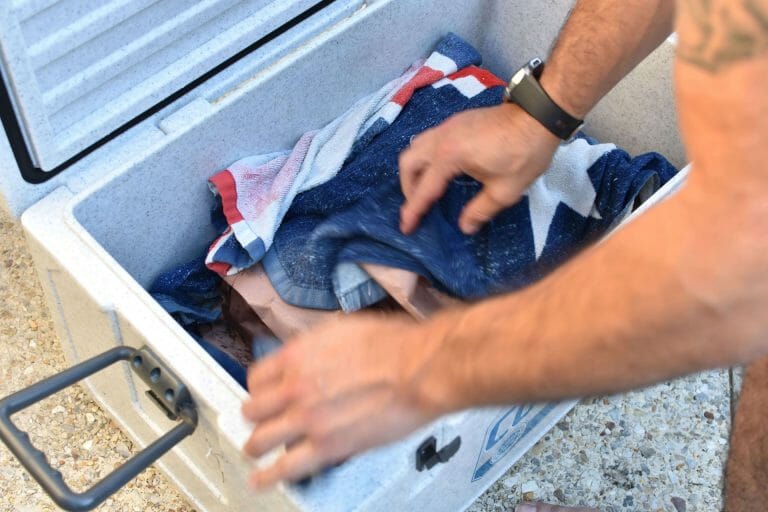 Resting Brisket In Cooler (Why Do it + How Long For) Simply Meat Smoking