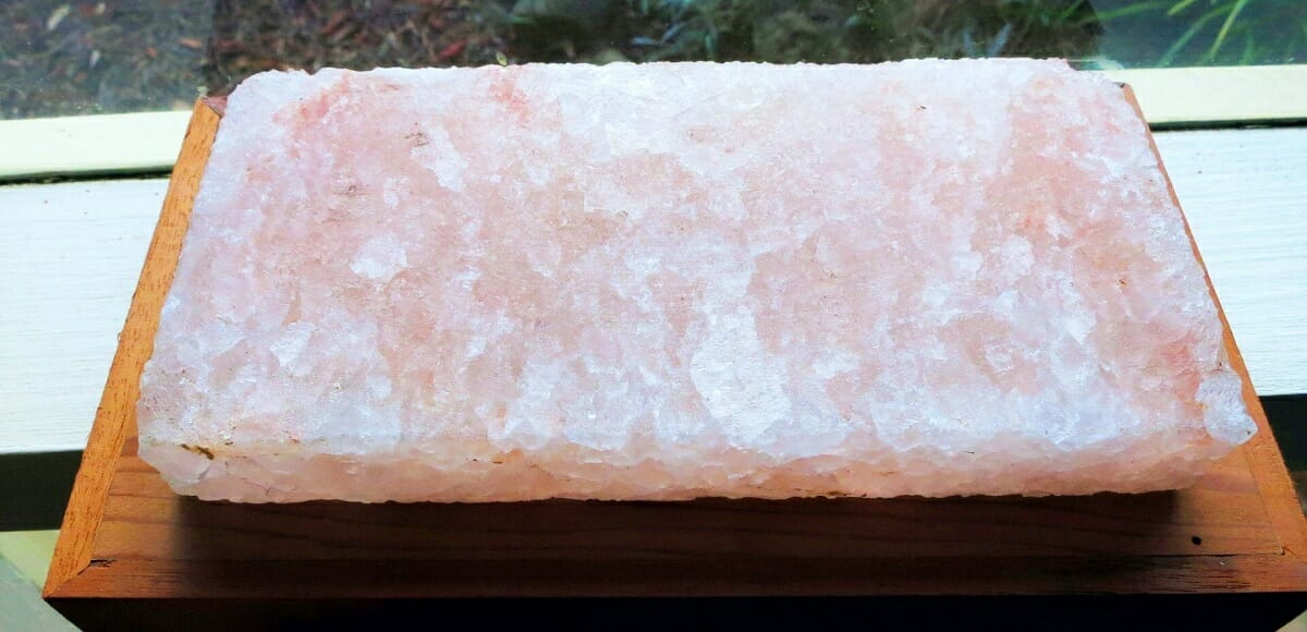 Shrimp Grilled on a Himalayan Salt Block (In 4 Simple Steps) Simply