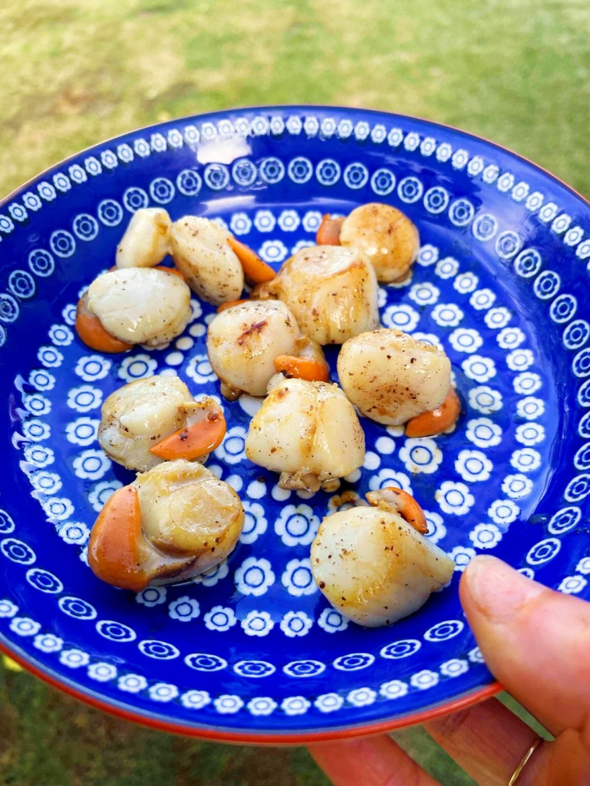Cedar Plank Scallops (In Just 7 Easy Steps) Simply Meat Smoking