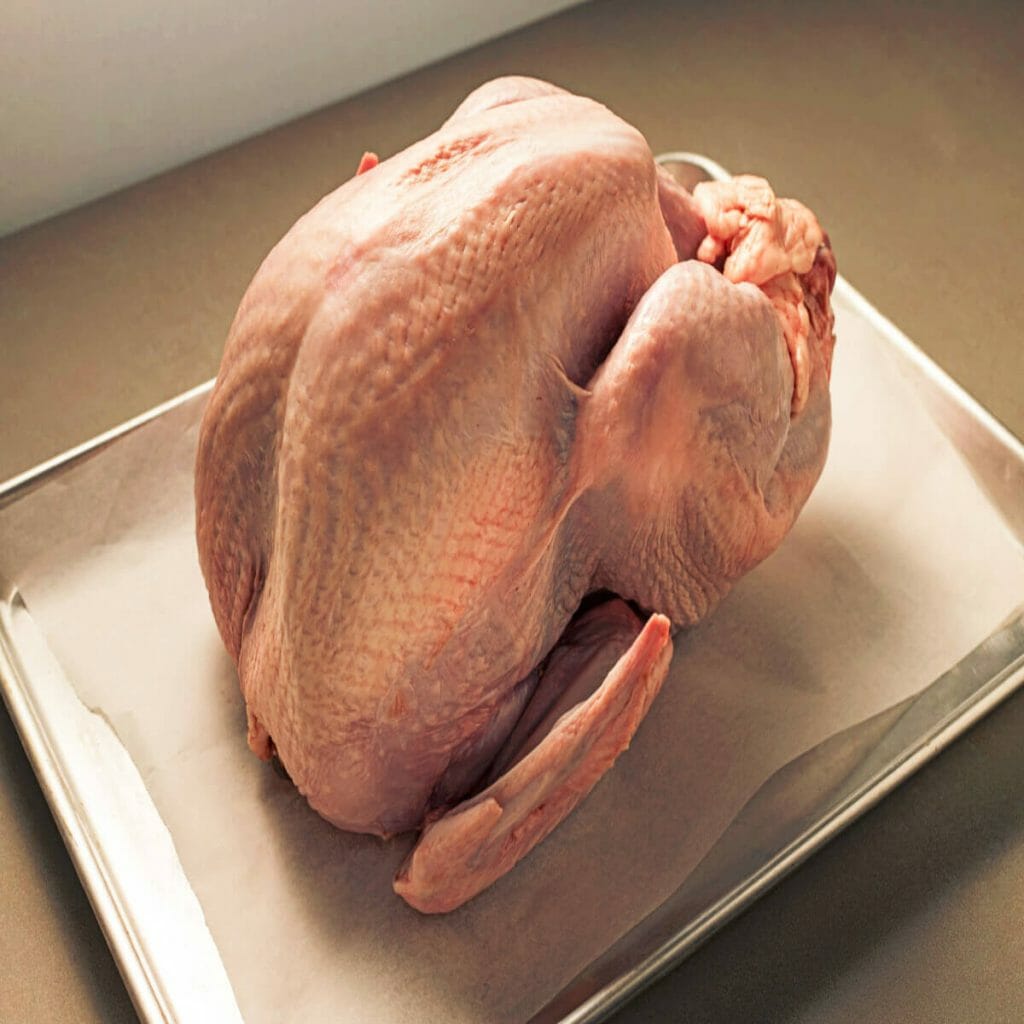 should the turkey be room temper (1)