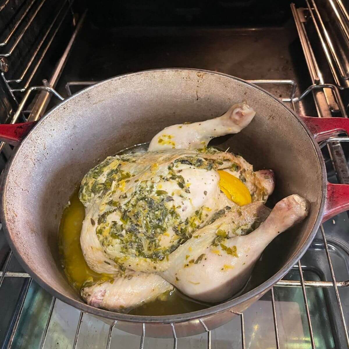 Where to Probe Chicken (To Get An Accurate Reading) Simply Meat Smoking