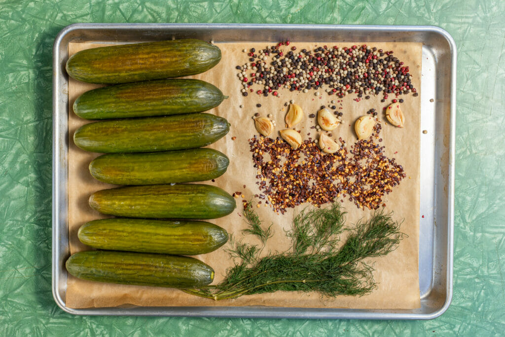 Meias Fresh Pickle - Tecnologia Absorção Umidade